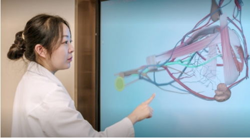 全球首款8k 5g mini led会议平板 maxhub 科技版 pro用技术定位行高度